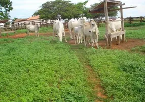 Foto 1 de Fazenda/Sítio à venda em , Cocos