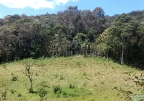 Foto 1 de Fazenda/Sítio com 3 Quartos à venda, 120m² em Bela Alianca, São Bento do Sul