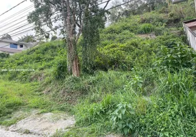 Foto 1 de Lote/Terreno à venda, 378m² em Cônego, Nova Friburgo