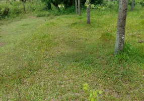 Foto 1 de Fazenda/Sítio com 3 Quartos à venda, 290m² em Japuíba, Cachoeiras de Macacu