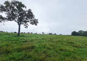 Foto 1 de Fazenda/Sítio com 3 Quartos à venda, 10m² em Zona Rural, Itaberaí