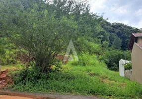 Foto 1 de Lote/Terreno à venda em Jardim Sofia, Joinville