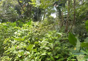 Foto 1 de Lote/Terreno à venda, 230m² em Sertao do Piavu, São Sebastião