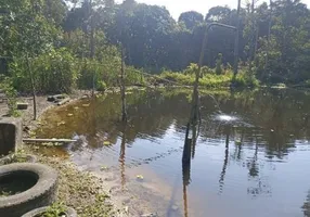 Foto 1 de Fazenda/Sítio com 2 Quartos à venda, 130m² em São Fernando, Itanhaém