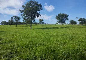 Foto 1 de Fazenda/Sítio com 3 Quartos à venda, 144000000m² em Zona Rural, Terenos