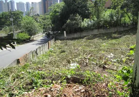 Foto 1 de Lote/Terreno à venda, 2489m² em Vila Suzana, São Paulo