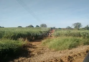 Foto 1 de Fazenda/Sítio com 2 Quartos à venda, 242m² em Pozzobon, Votuporanga