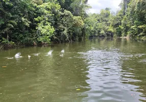 Foto 1 de Fazenda/Sítio à venda, 8084990m² em Zona Rural, Rio Preto da Eva