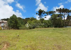 Foto 1 de Lote/Terreno à venda, 1295m² em Centro, Canela