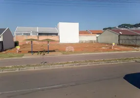 Foto 1 de Lote/Terreno à venda, 216m² em Eucaliptos, Fazenda Rio Grande