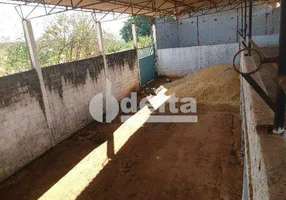 Foto 1 de Galpão/Depósito/Armazém para alugar, 5000m² em Tocantins, Uberlândia