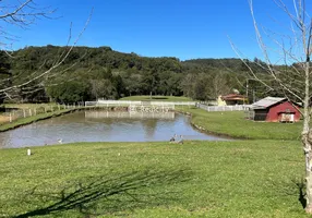 Foto 1 de Lote/Terreno à venda, 20000m² em Sao Pedro, Bento Gonçalves