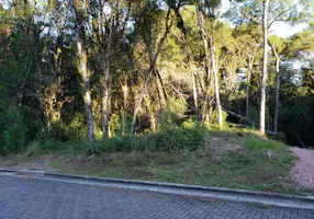 Foto 1 de Lote/Terreno à venda, 420m² em Carniel, Gramado