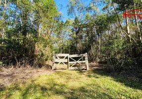 Foto 1 de Fazenda/Sítio com 2 Quartos à venda, 100m² em VILA ELVIO, Piedade