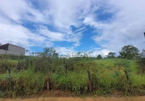 Foto 1 de Lote/Terreno à venda, 1000m² em Chácara Ipês , Caçapava