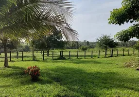 Foto 1 de Fazenda/Sítio com 2 Quartos à venda, 3500000m² em Centro, Acará