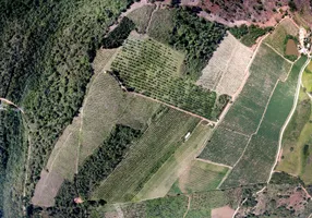 Foto 1 de Fazenda/Sítio à venda, 550000m² em Centro, Cerro Azul