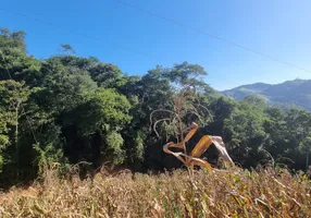 Foto 1 de Lote/Terreno à venda, 10000m² em Soido, Domingos Martins