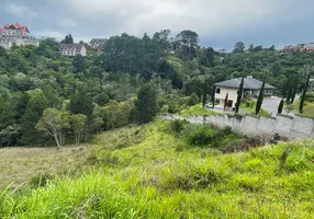 Foto 1 de Lote/Terreno à venda, 2500m² em Centro, Campos do Jordão