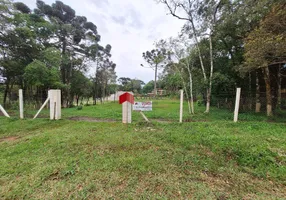 Foto 1 de Lote/Terreno à venda, 1040m² em Borda do Campo, São José dos Pinhais