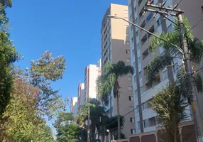 Foto 1 de Apartamento com 3 Quartos à venda, 55m² em Jardim Santa Terezinha, São Paulo