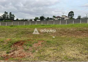 Foto 1 de Lote/Terreno à venda, 10m² em Estrela, Ponta Grossa