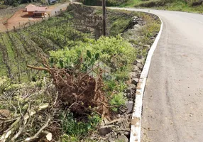 Foto 1 de Fazenda/Sítio com 1 Quarto à venda, 5000m² em Centro, Monte Belo do Sul