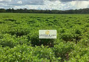 Foto 1 de Fazenda/Sítio com 6 Quartos à venda, 900m² em Setor Central, Araguaína