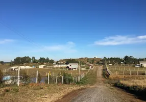 Foto 1 de Fazenda/Sítio à venda, 3000m² em Vila Seca, Caxias do Sul