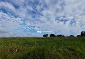 Foto 1 de Fazenda/Sítio com 5 Quartos à venda, 400m² em Zona Rural, Olímpia
