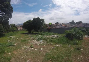Foto 1 de Lote/Terreno à venda, 6000m² em Vila Cintra, Mogi das Cruzes