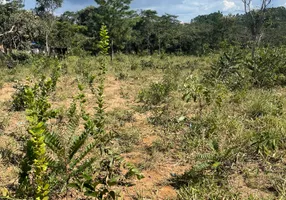 Foto 1 de Fazenda/Sítio à venda, 9725m² em Jardim Brasilia II, Águas Lindas de Goiás