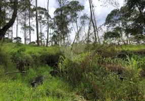 Foto 1 de Lote/Terreno à venda, 57790m² em Serra da Cantareira, Mairiporã