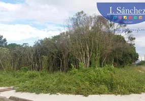 Foto 1 de Lote/Terreno à venda, 250m² em Gaivota Praia, Itanhaém