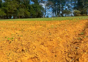 Foto 1 de Lote/Terreno à venda, 500m² em Centro, São Roque