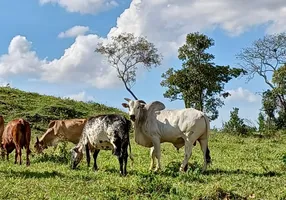 Foto 1 de Fazenda/Sítio com 2 Quartos à venda, 470000m² em Corrego Rico, Planaltina