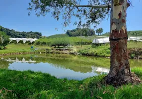 Foto 1 de Fazenda/Sítio com 1 Quarto à venda, 50000m² em Caminhos de Pedra, Bento Gonçalves