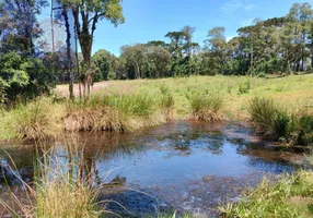 Foto 1 de Fazenda/Sítio com 1 Quarto à venda, 30000m² em , Campo Alegre