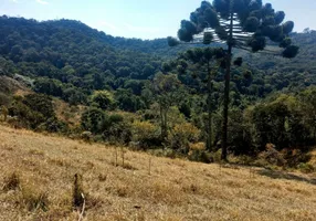 Foto 1 de Lote/Terreno à venda, 20000m² em Centro, Senador Amaral