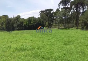 Foto 1 de Fazenda/Sítio com 1 Quarto à venda, 28000m² em , Campo Alegre