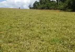 Foto 1 de Fazenda/Sítio à venda em Zona Rural, Inhumas