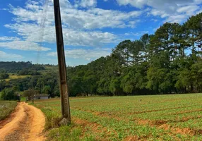 Foto 1 de Lote/Terreno à venda, 500m² em Jardim Disneylandia, Ibiúna