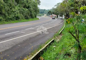 Foto 1 de Lote/Terreno à venda, 3600m² em Vinosul, Bento Gonçalves