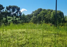 Foto 1 de Fazenda/Sítio à venda, 50000m² em Esquina, Urubici