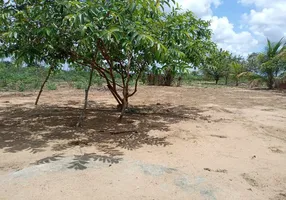 Foto 1 de Fazenda/Sítio com 3 Quartos à venda, 50m² em Centro, Vera Cruz