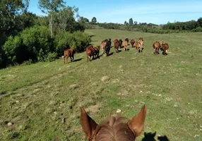 Foto 1 de Fazenda/Sítio com 3 Quartos à venda, 2600000m² em Centro, Bagé