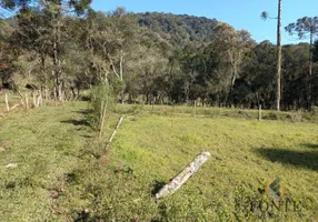 Foto 1 de Lote/Terreno à venda, 223439m² em Centro, Bocaina do Sul