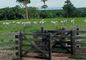 Foto 1 de Fazenda/Sítio à venda, 1740000m² em Zona Rural, Santo Antônio do Leverger
