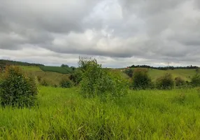 Foto 1 de Lote/Terreno à venda, 20393m² em Pitangal, Jarinu