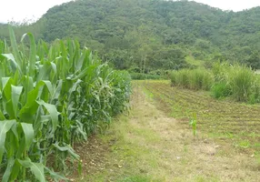 Foto 1 de Fazenda/Sítio com 1 Quarto à venda, 1m² em , Schroeder